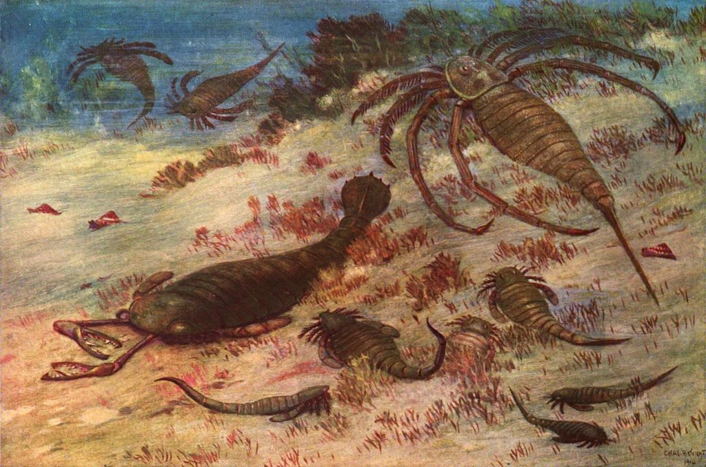 sea scorpion environmental reconstruction