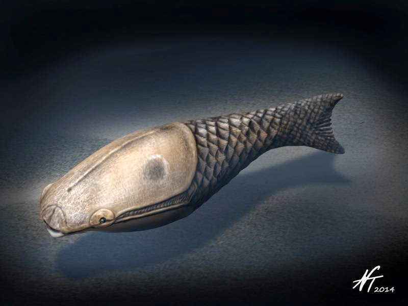 Image showing a reconstruction of the Early Silurian heterostracan fish Athenaegis chattertoni.