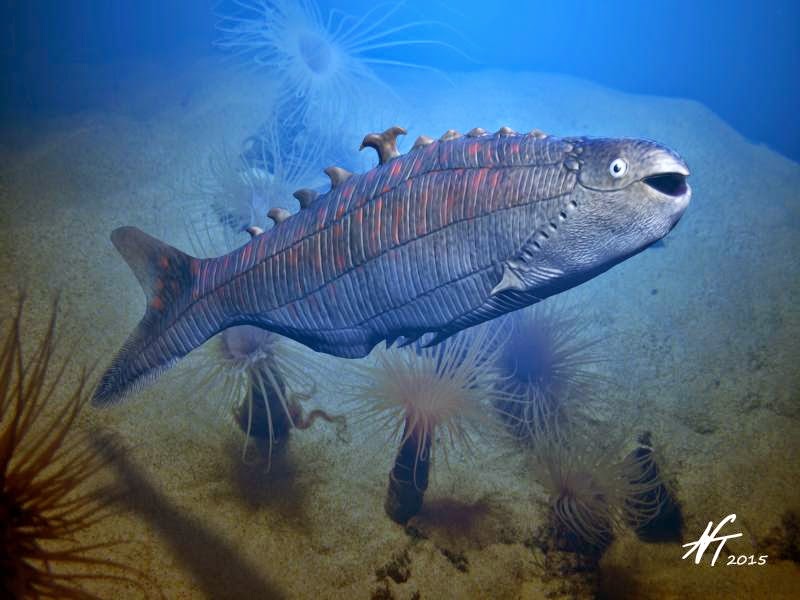 Image showing a reconstruction of the Late Silurian anaspid fish Pharyngolepis oblongus.