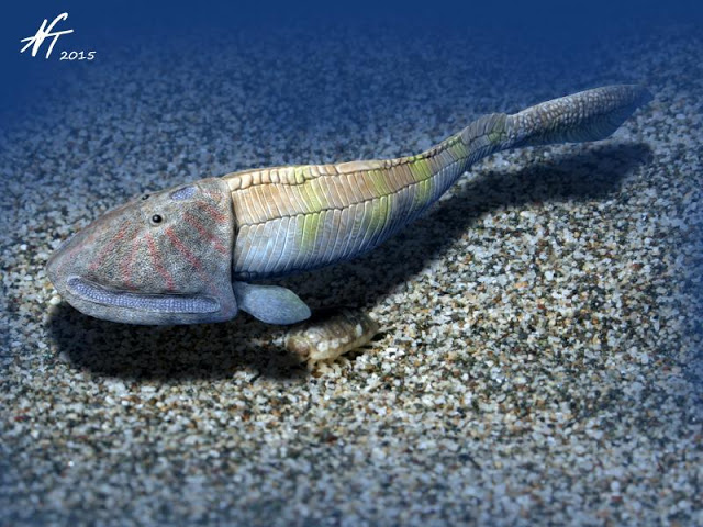 Image showing a reconstruction of the Late Silurian osteostracan Ateleaspis tesselata.