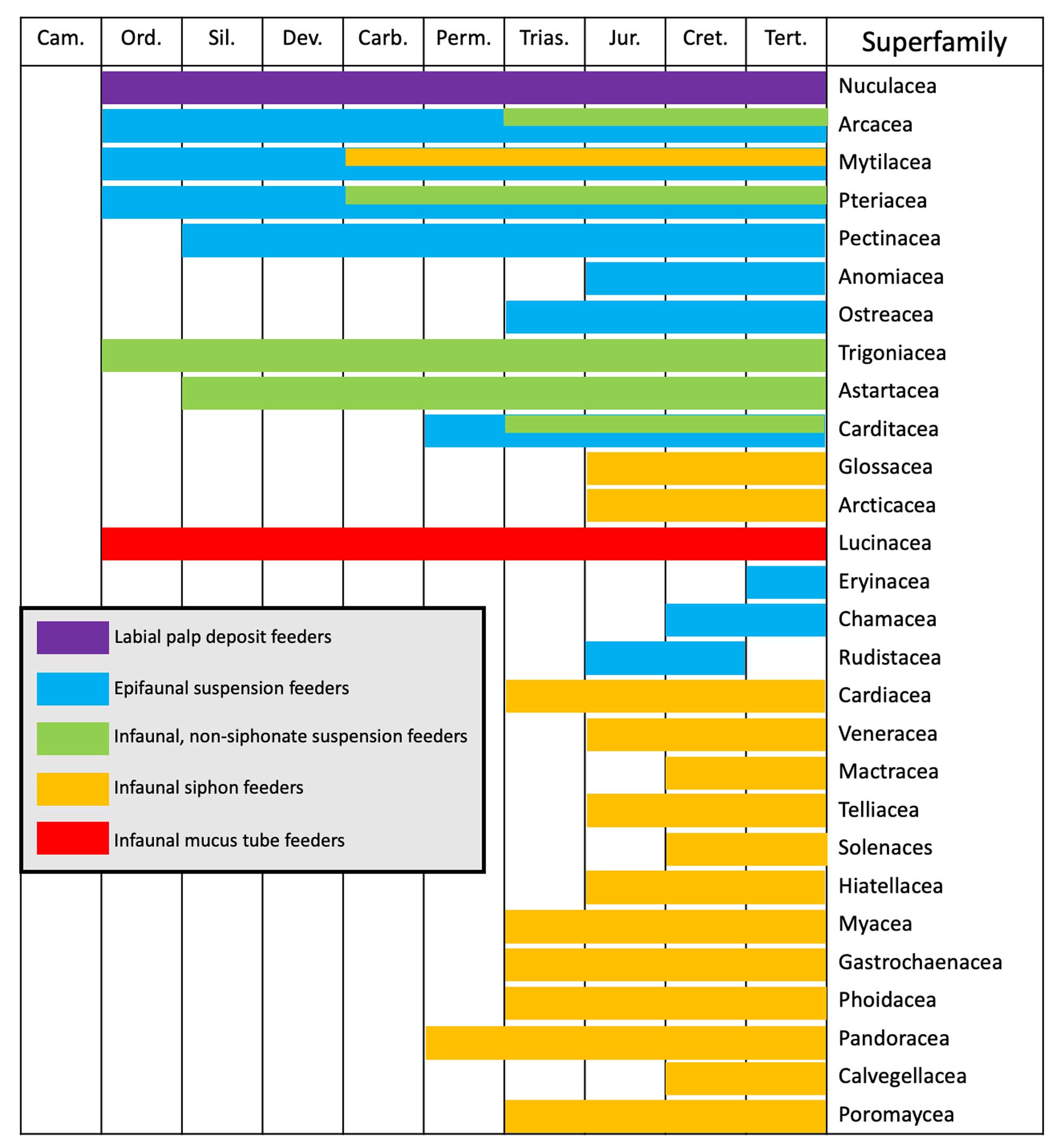 Chart showing the geologic ranges of bivalve clades with differing life habits.