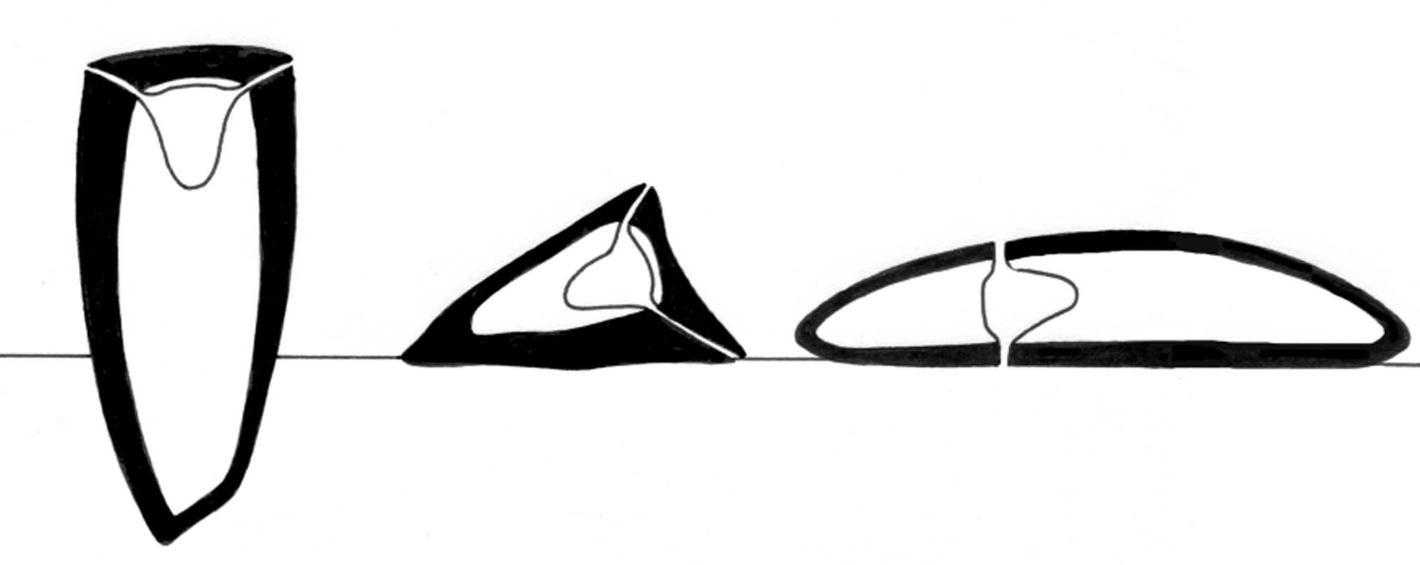 Illustration showing the three rudist morphotypes.