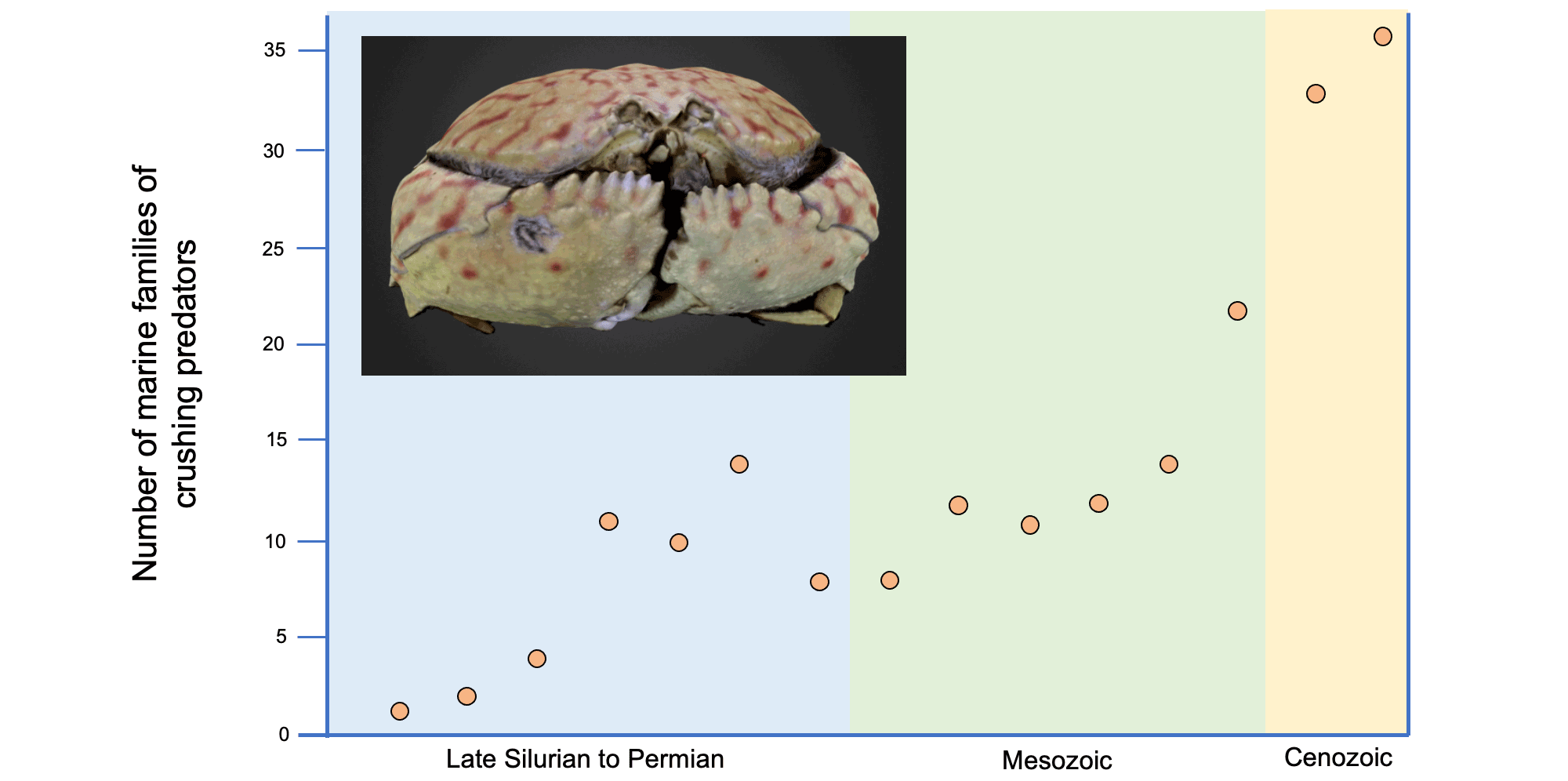 Diagram showing the increase in the number of marine families of crushing predators from the late Silurian to the present.