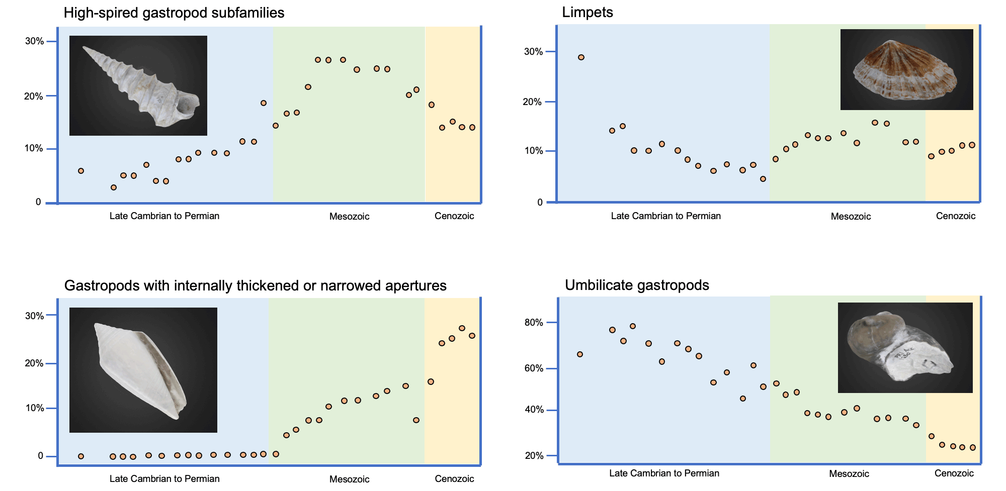 Four graphs showing the number of subfamilial groups of gastropods over time with different types of shell features, including high spires, limpet shapes, internally thickened shells or narrow apertures, and umbilicate forms.