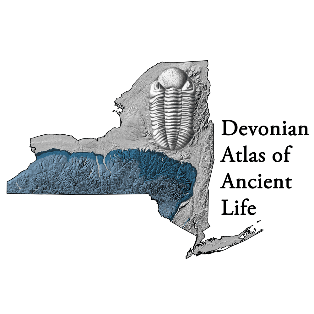 Logo for the Devonian Atlas of Ancient Life